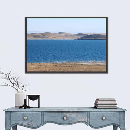 Aydarkul Lake Shoreline, Uzbekistan Wall Art