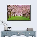 Cherry Blossom Avenue Wall Art