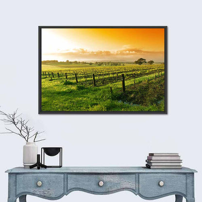 Barossa Valley Vineyard at Sunrise Wall Art