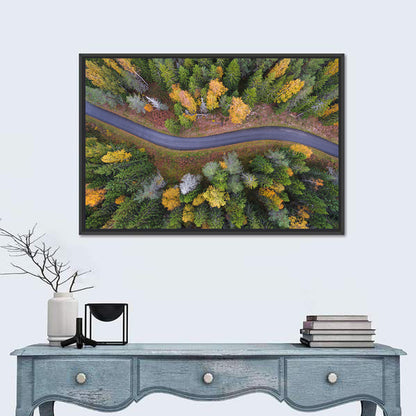 Aerial Autumn Forest Road Wall Art
