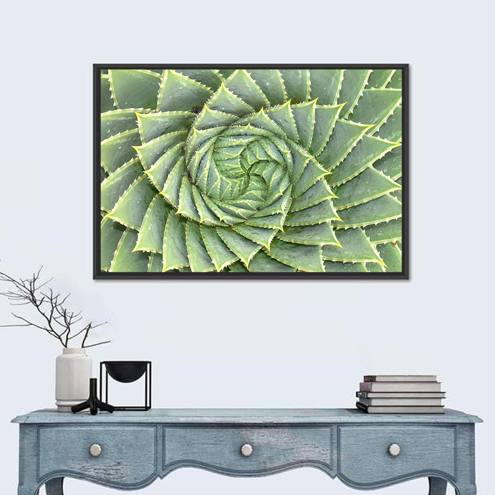 Spiral Aloe Close-up Wall Art