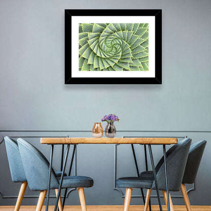 Spiral Aloe Close-up Wall Art