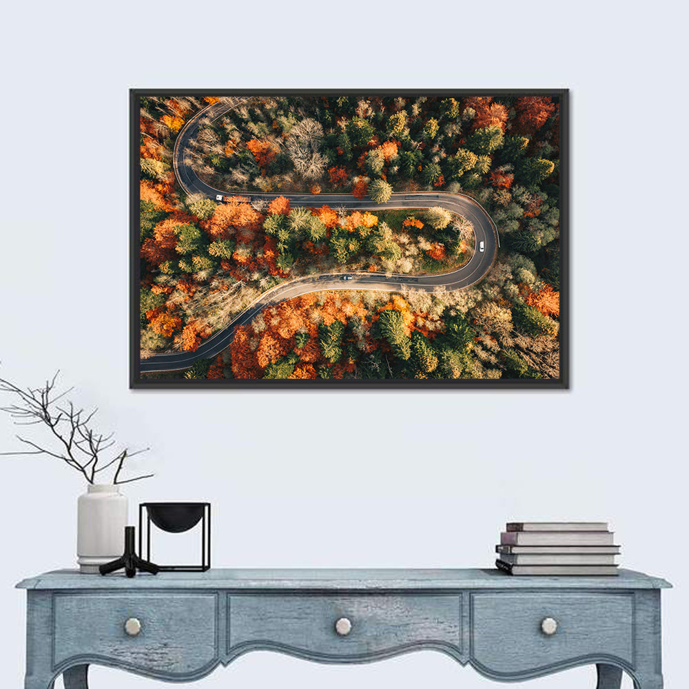 Aerial Winding Autumn Forest Road Wall Art in a room, landscape