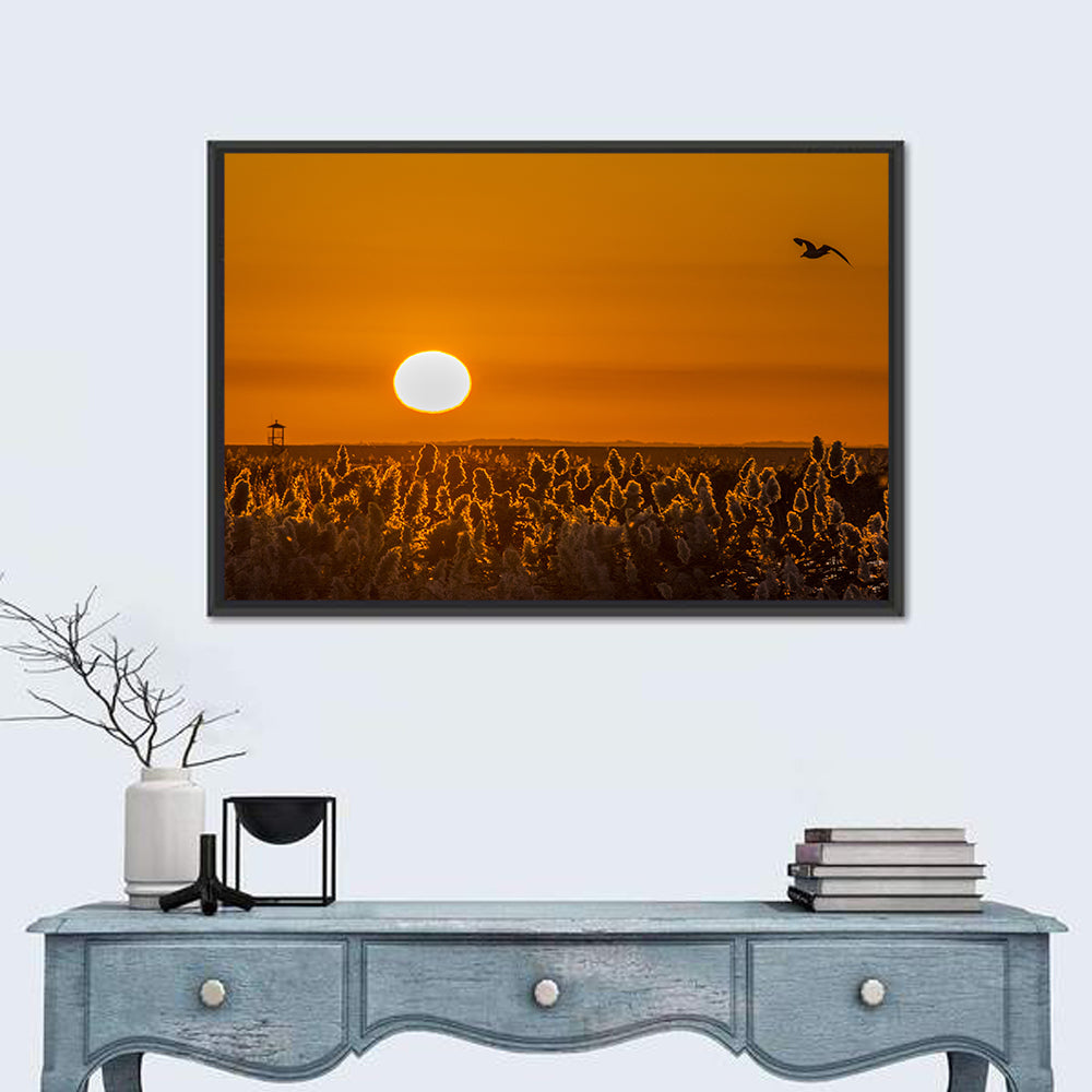 Golden Sunrise Over Reeds Wall Art in a room, landscape