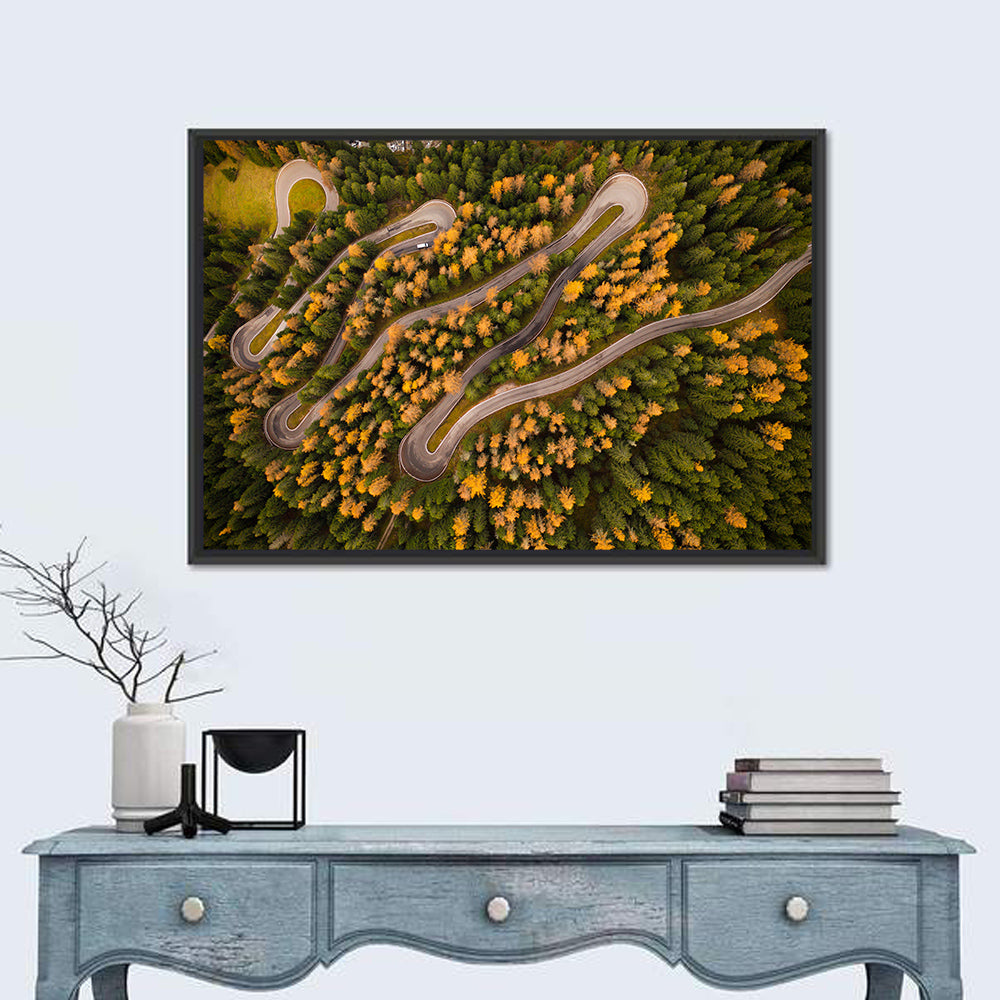 Aerial Curvy Forest Road Wall Art