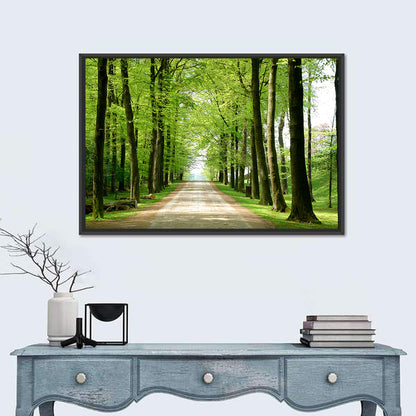 Sunlit Tree-lined Path Wall Art
