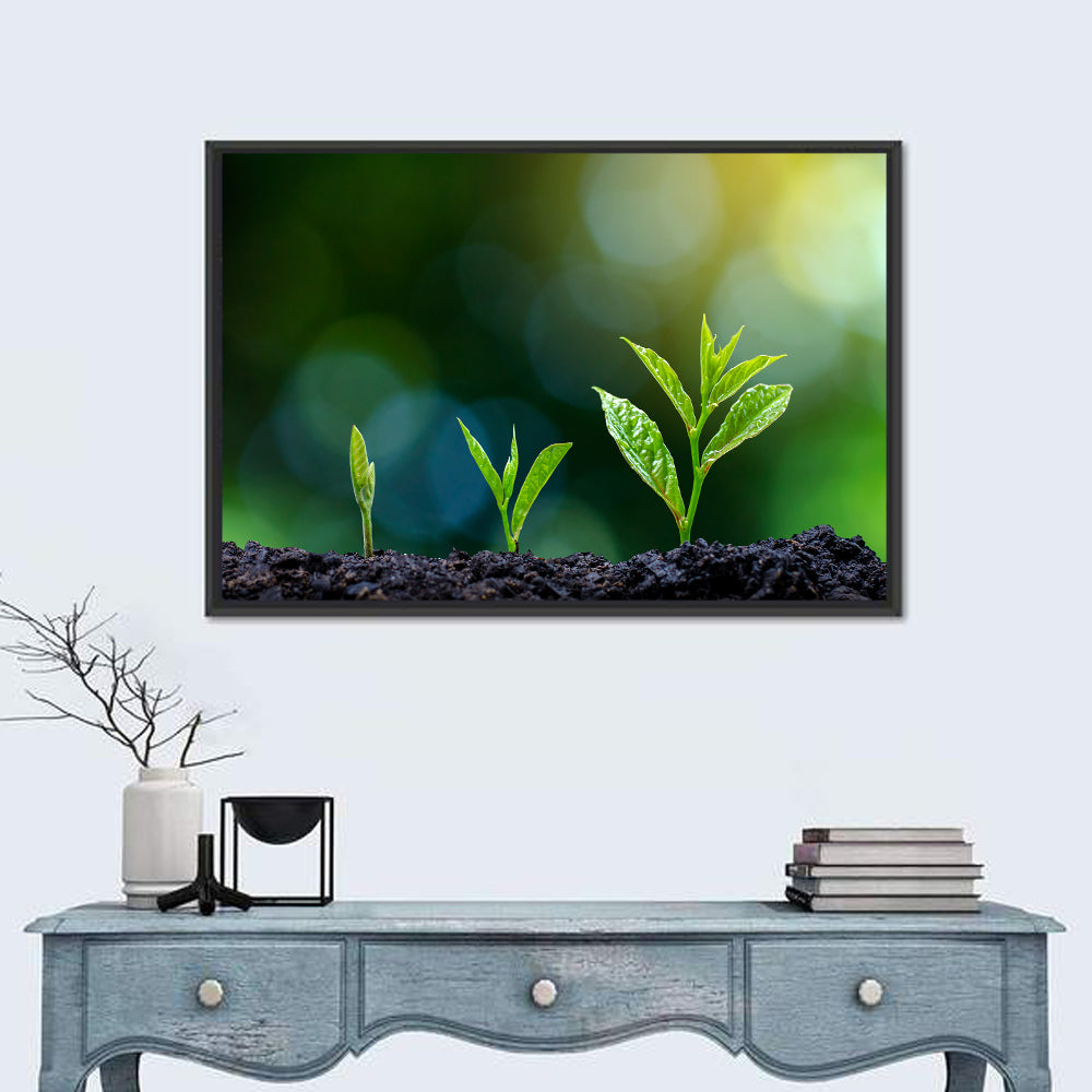 Seedling Growth Stages Wall Art in a room, landscape