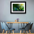 Seedling Growth Stages Wall Art