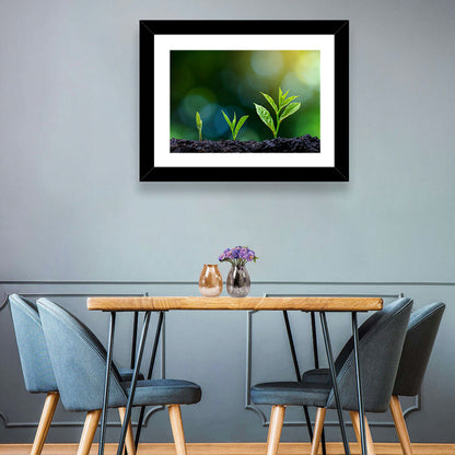 Plant Growing Phase Wall Art