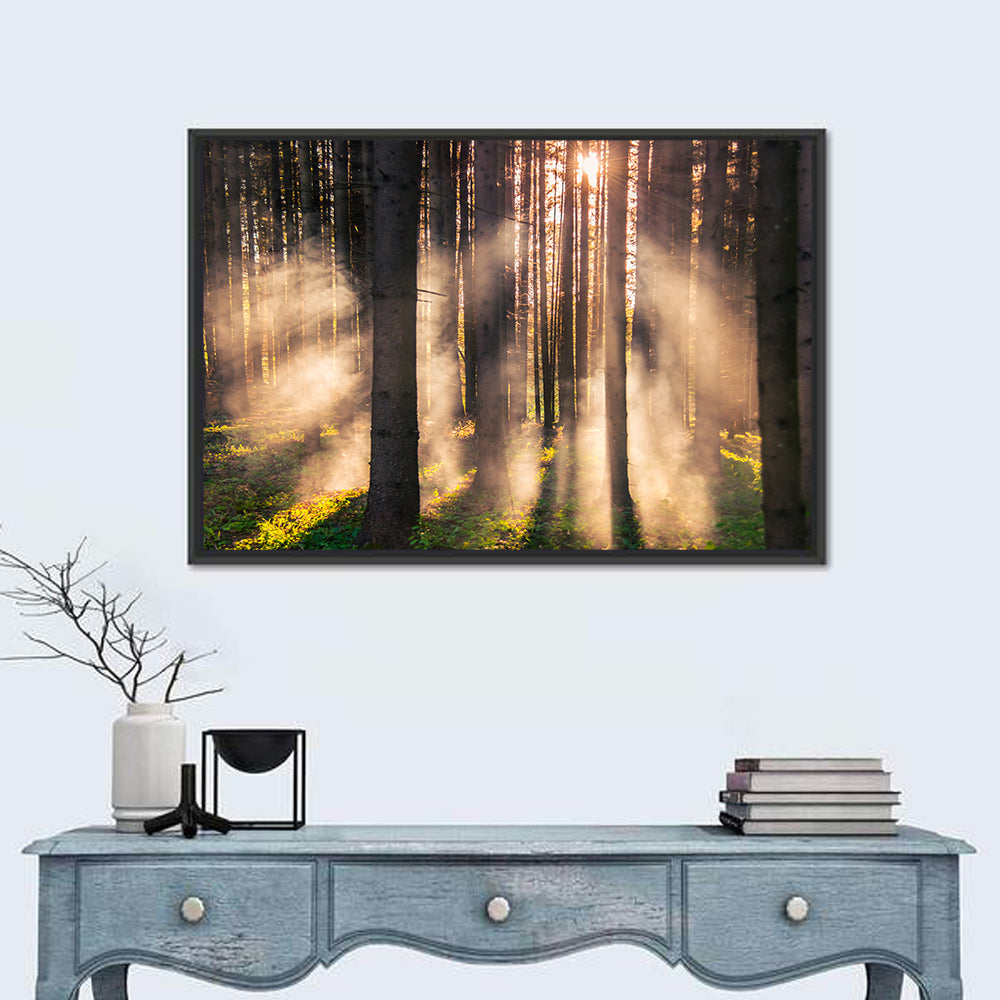 Sunrise Through Misty Forest Wall Art