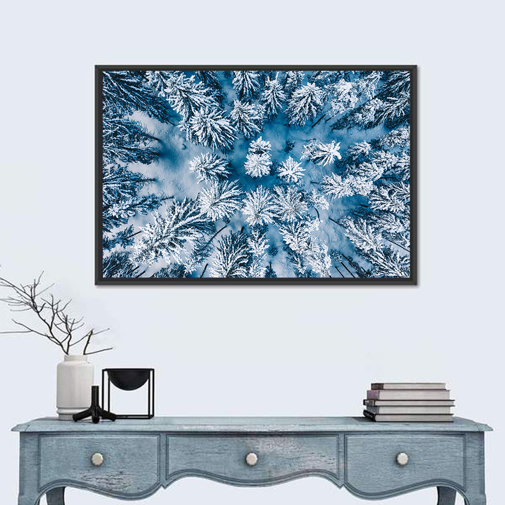 Aerial Snowy Evergreen Canopy Wall Art in a room, landscape