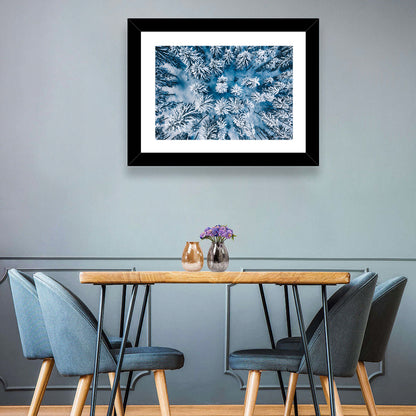 Aerial Snowy Evergreen Canopy Wall Art