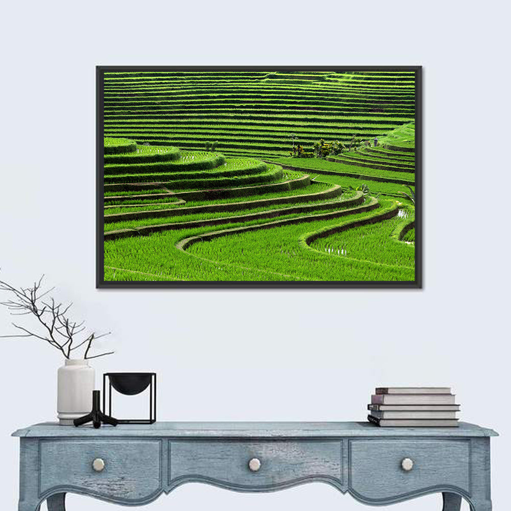 Lush Rice Terraces Wall Art in a room, landscape