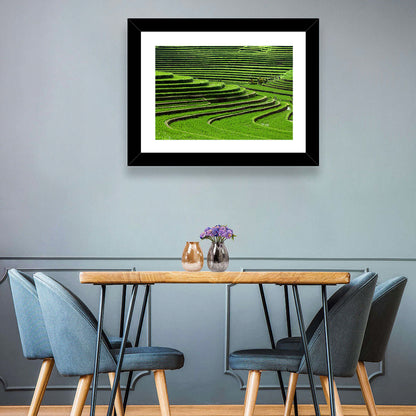 Lush Rice Terraces Wall Art