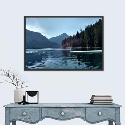 Tongass National Forest Seaplane View Wall Art