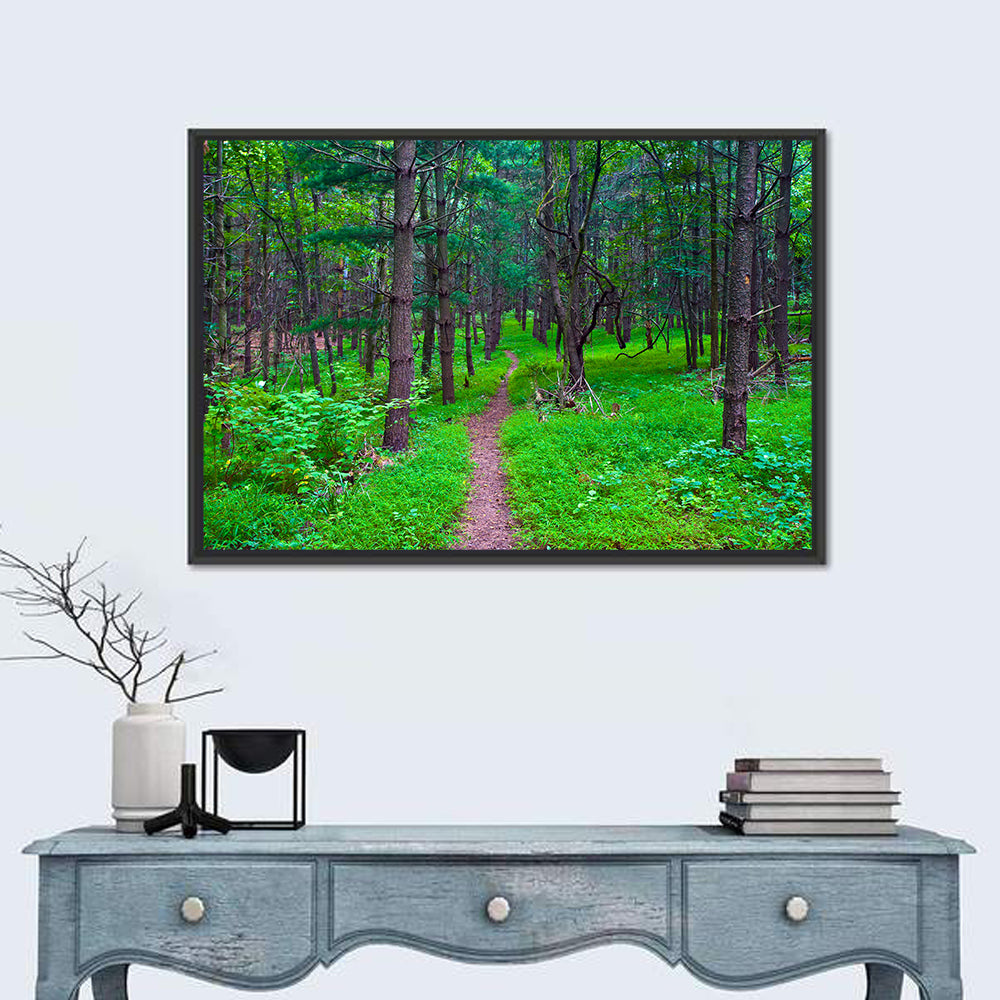 Lush Virginia Forest Trail Wall Art