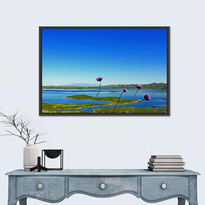 Lake Mathews Wildflower View Wall Art
