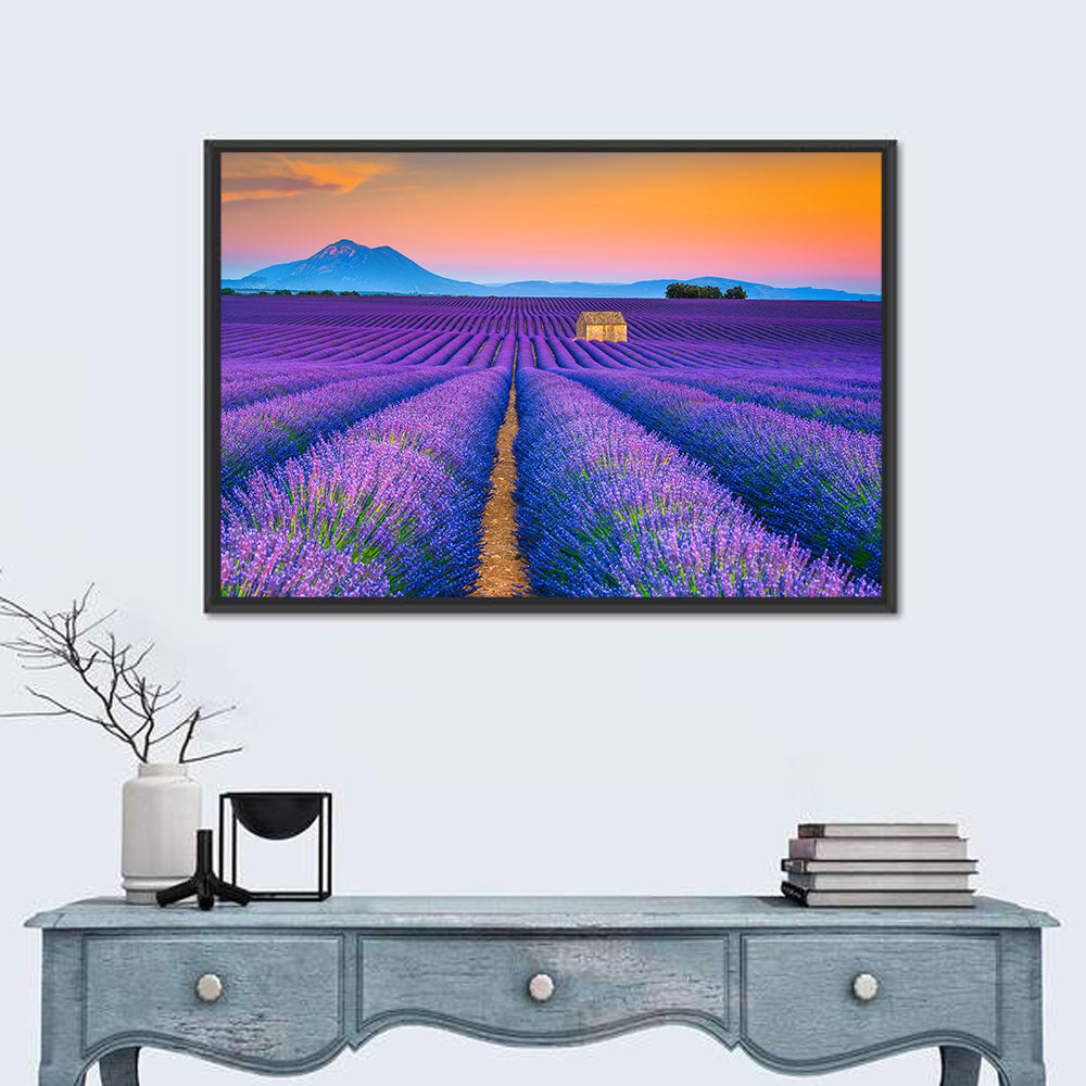 Valensole Lavender Fields at Sunset Wall Art in a room, landscape