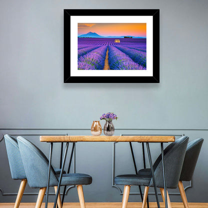 Valensole Lavender Fields at Sunset Wall Art
