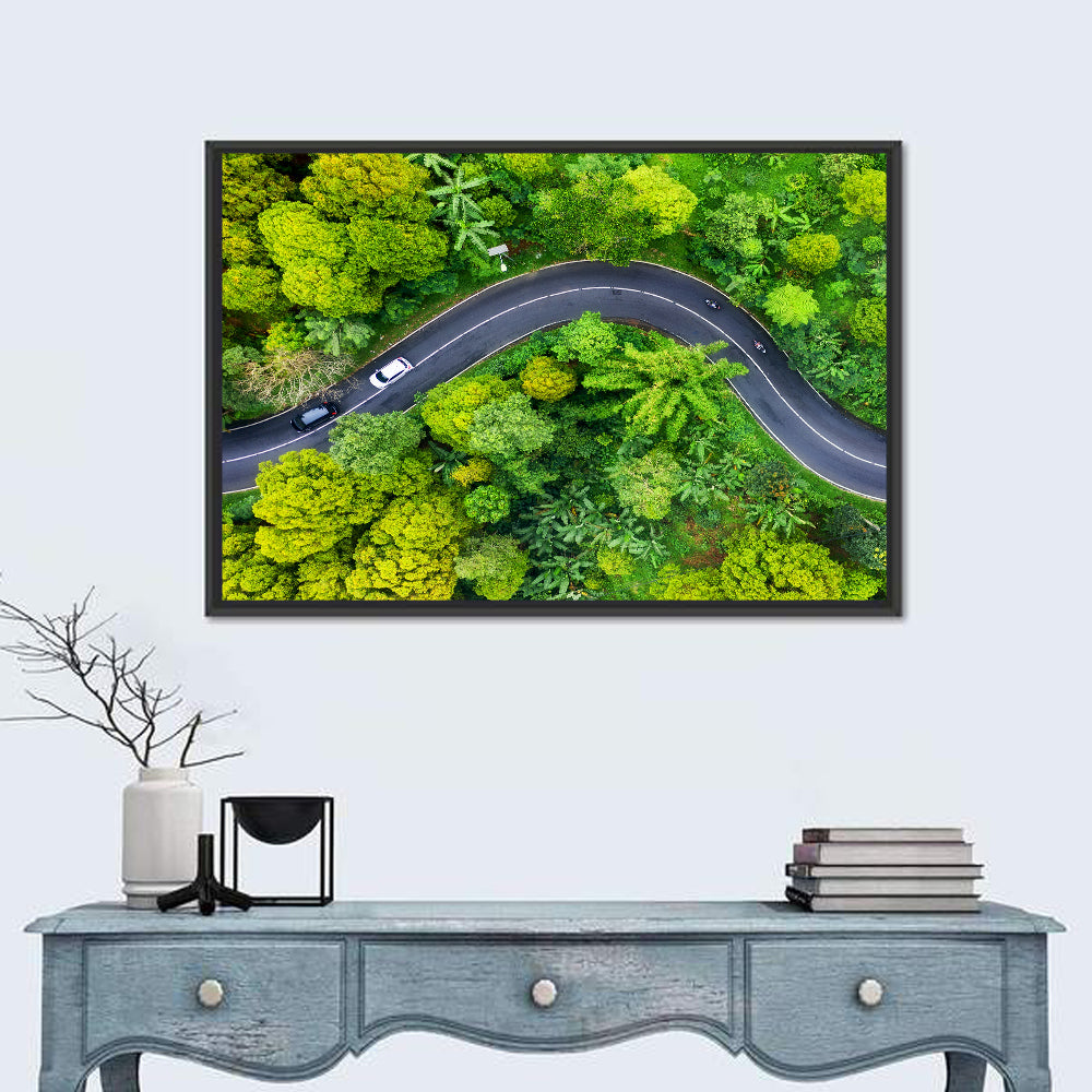 Winding Tropical Forest Road Wall Art in a room, landscape