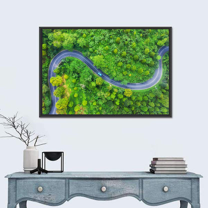 Blue Car on Summer Forest Road Wall Art