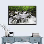 Smoky Mountains Cascading Stream Wall Art