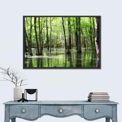Sunlit Swamp Forest Wall Art