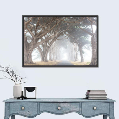 Misty Cypress Tunnel Wall Art