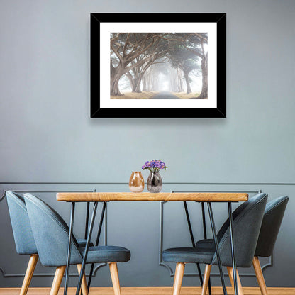 Misty Cypress Tunnel Wall Art