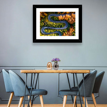 Serpentine Forest Road Wall Art