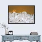 Lac Rose Salt Flats Senegal Wall Art