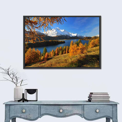 Silsersee Larches and Swiss Alps Wall Art