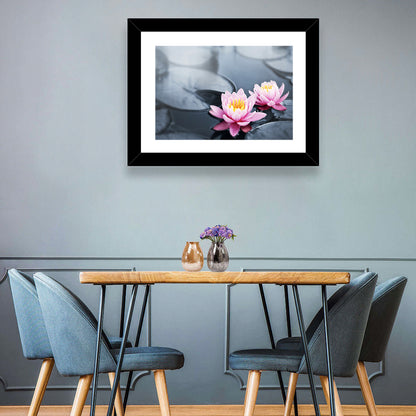 Pink Water Lilies Wall Art