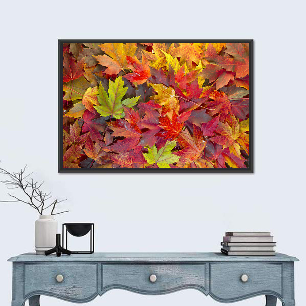 Autumn Maple Leaves Close-up Wall Art in a room, landscape