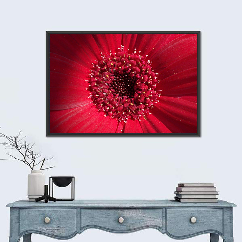Red Gerbera Daisy Macro Close Up Wall Art in a room, landscape
