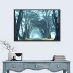 Foggy Cypress Tree Tunnel Wall Art