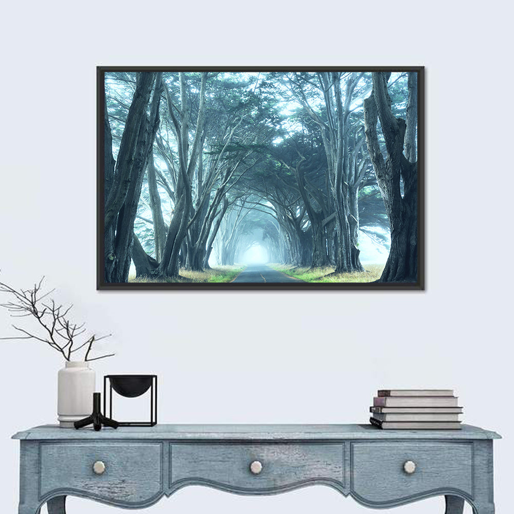 Foggy Cypress Tree Tunnel Wall Art