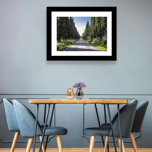 Cypress Trees Avenue Wall Art