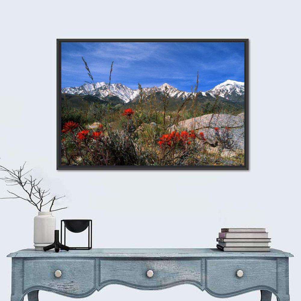 Sierra Nevada Wildflower Vista Wall Art