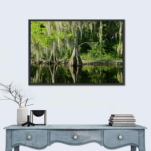 Bald Cypress in Swamp Wall Art