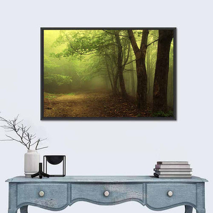 Misty Green Forest Path Wall Art