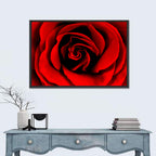 Velvety Red Rose Close-up Wall Art