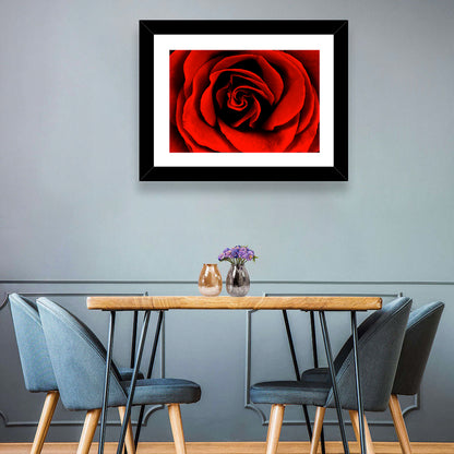 Red Rose Wall Art