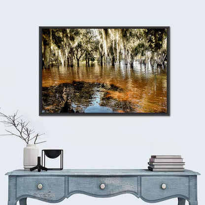 Spanish Moss Swamp at Lake Jesup Wall Art