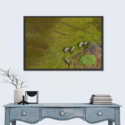 Aerial Herd of Elephants Wall Art