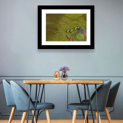 Aerial Herd of Elephants Wall Art