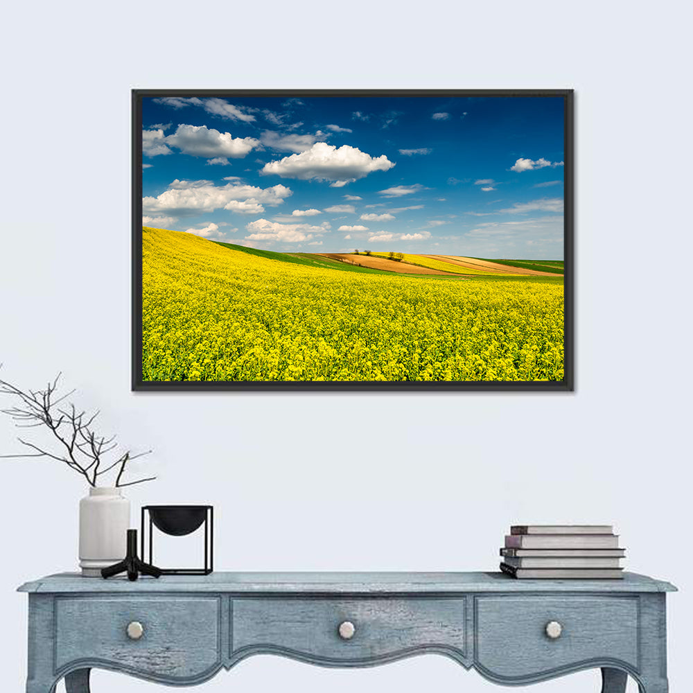 Sunlit Canola Fields Wall Art in a room, landscape