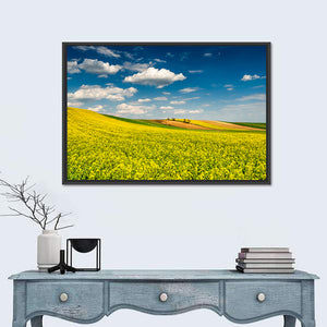 Canola Fields Wall Art