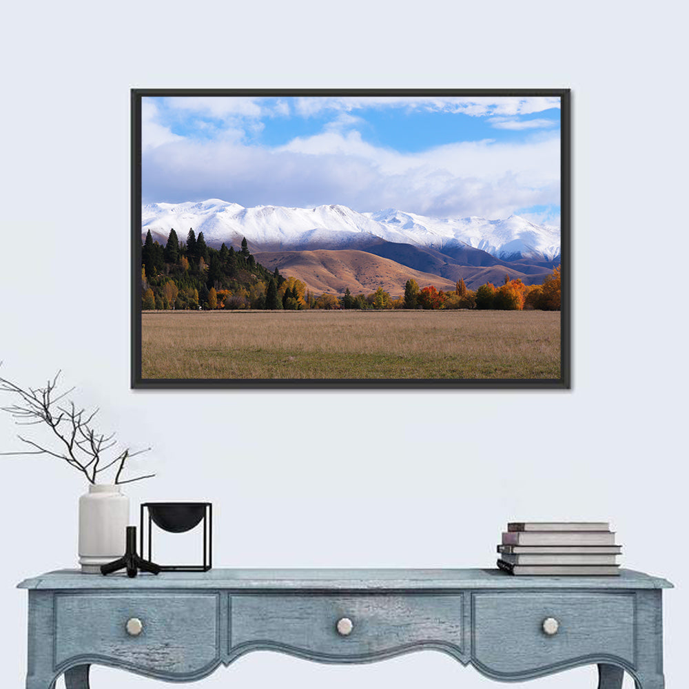 Ben Ohau Mountain Meadow Wall Art