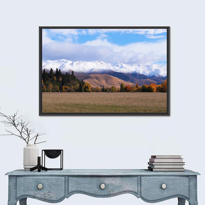 Ben Ohau Mountain Meadow Wall Art